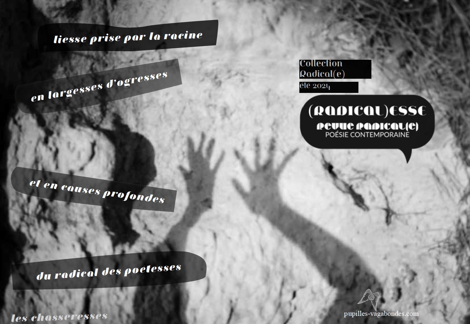 Couverture du tract de poésie Radicalesse