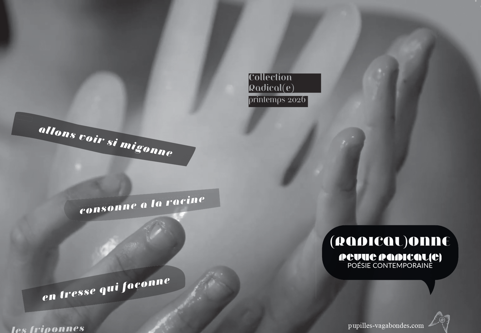 Couverture du tract de poésie Radicalonne